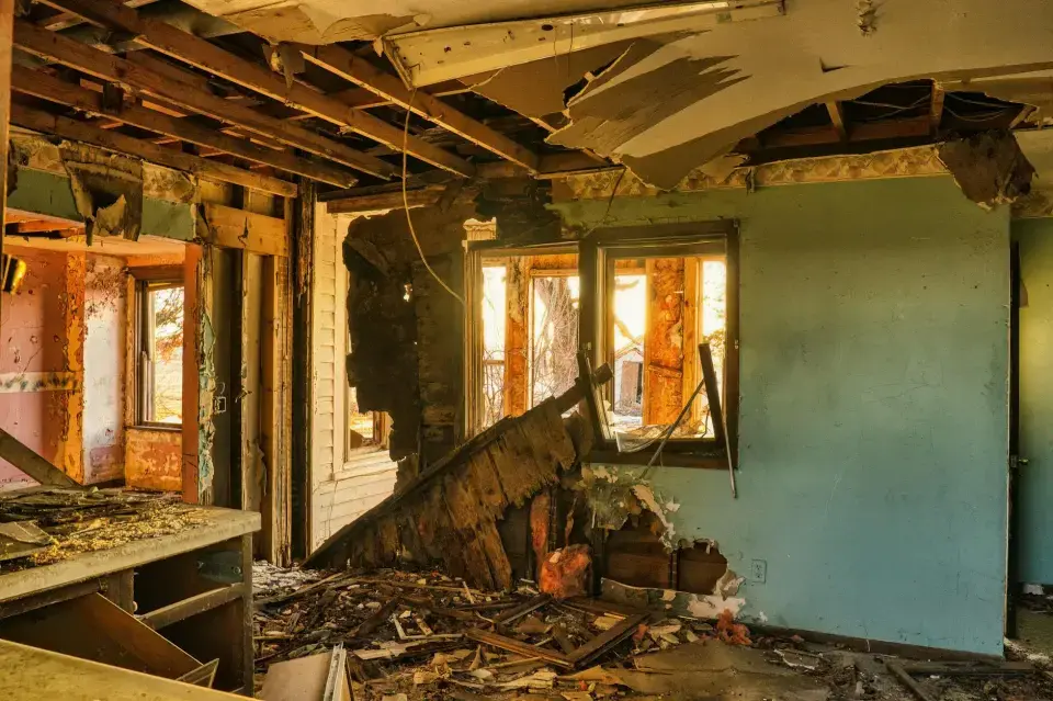 Vacaville's Trusted Mold Removal Specialists — Vacaville, CA
