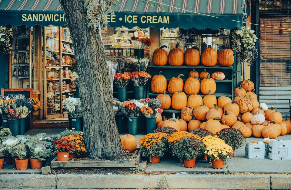 Around Davis, California in Davis
