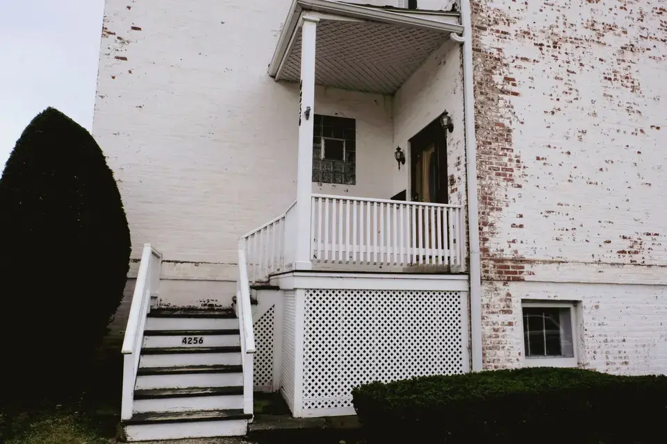 mold removal Napa